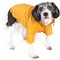 Edge Collections - Large - Orange - Adjustable Lightweight Sporty Avalanche Pet Coat - 1 Piece